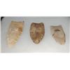 Image 8 : 3 Fluted Points