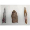 Image 1 : 3 Paleo Points