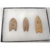 Image 1 : 3 Fluted Points
