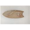 Image 3 : 3 Fluted Points