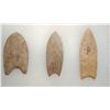 Image 5 : 3 Fluted Points