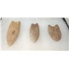 Image 7 : 3 Fluted Points