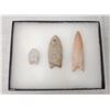 Image 1 : Paleo Points