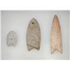 Image 2 : Paleo Points