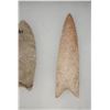 Image 3 : Paleo Points