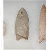 Image 4 : Paleo Points