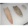 Image 6 : Paleo Points