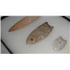 Image 7 : Paleo Points