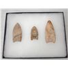 Image 1 : 3 Fluted Points