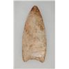 Image 3 : 3 Fluted Points