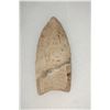 Image 5 : 3 Fluted Points
