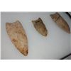 Image 7 : 3 Fluted Points