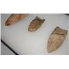 Image 8 : 3 Fluted Points