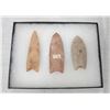 Image 1 : 3 Paleo Points