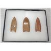 Image 1 : 3 Fluted Points