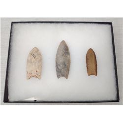 3 Paleo Points