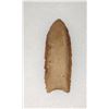 Image 2 : 3 Paleo Points