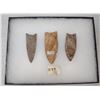 Image 1 : 3 Fluted Points