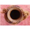 Image 4 : San Diego Olla