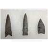 Image 1 : 3 Paleo Points