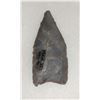 Image 2 : 3 Paleo Points