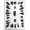 Image 1 : California Obsidian Collection