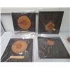 Image 2 : Tree Ring Dating Data & Artifacts
