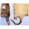 Image 9 : Beaded Otter Hide