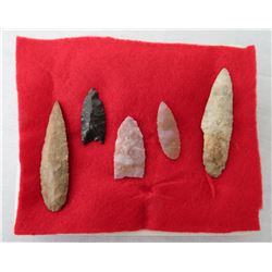 Bolivian Paleo Points w/Helm COA