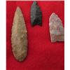 Image 2 : Bolivian Paleo Points w/Helm COA
