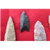 Image 3 : Bolivian Paleo Points w/Helm COA