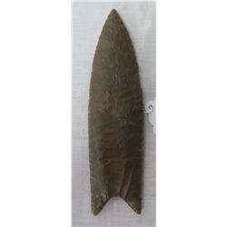 Plastic Mold of Giant Clovis