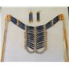 Image 2 : Bone Breast Plate in Frame