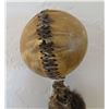 Image 2 : Plains Indian War Club