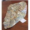 Image 8 : Olmec Jade Plaque