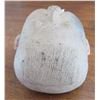 Image 5 : Olmec Ceramic Baby Head