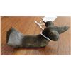 Image 1 : Popeyed Birdstone