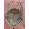 Image 6 : Senufo Double Kpelie w/Stand
