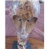 Image 3 : Fang Reliquary Head on Stand