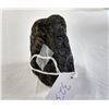 Image 5 : Canyon Del Diablo Meteor Specimen