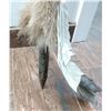 Image 8 : Plains Indian Lance