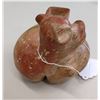Image 8 : Colima Dog
