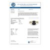 Image 3 : 2.0 CTW Black Diamond Engagement Designer Ring 18K Yellow Gold - REF-74Y2X - 32449