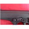 Image 10 : BERSA FIRESTORM