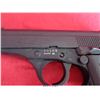 Image 7 : BERSA FIRESTORM