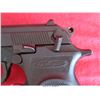 Image 8 : BERSA FIRESTORM