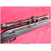 Image 16 : SAVAGE ARMS MODEL 64