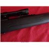 Image 23 : SAVAGE ARMS MODEL 64