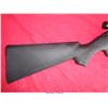 Image 5 : SAVAGE ARMS MODEL 64