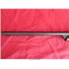 Image 9 : STEVENS 77H